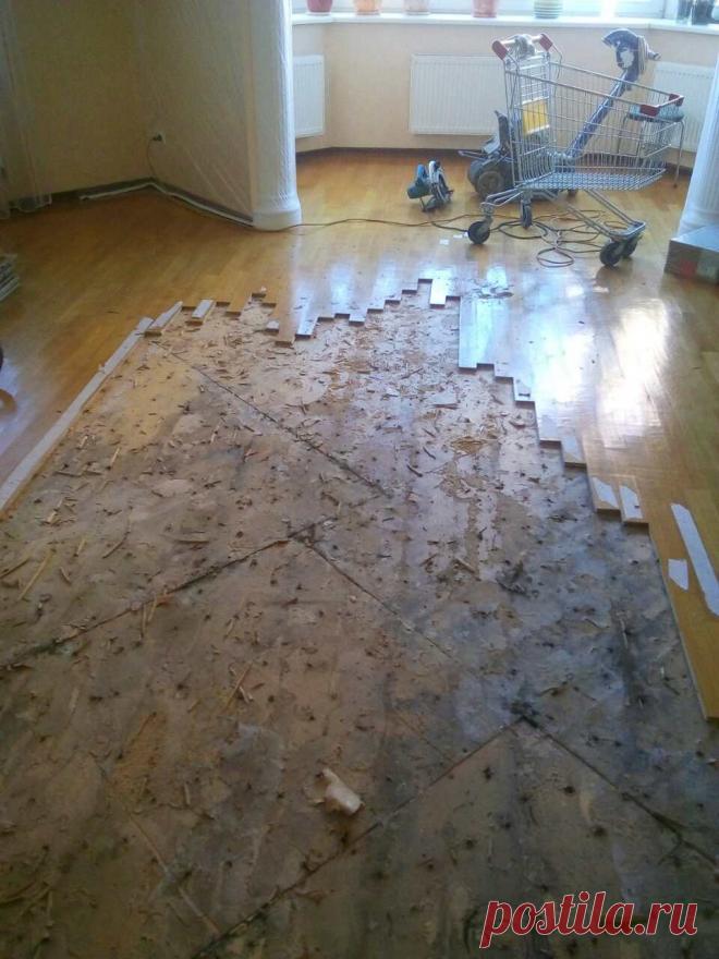 Укладка ламината | Циклевка паркета