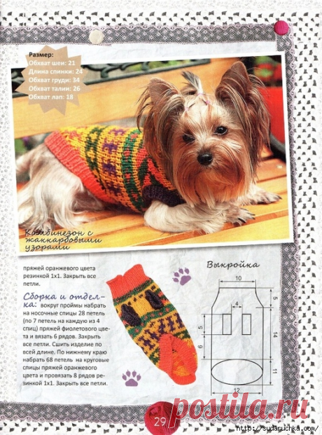одежда для собак #вяжутулитки #вязаниедлясобак | ВЯЖУТ УЛИТКИ ИЗ ВСЯЧЕСКОЙ НИТКИ