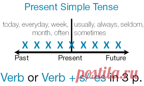 present simple в картинках