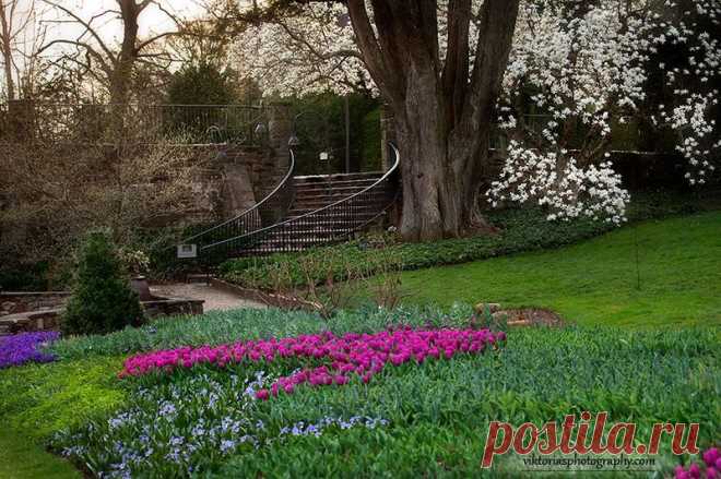 LONGWOOD GARDENS-БОТАНИЧЕСКИЙ САД!КРАСОТА!!! | Самоцветик