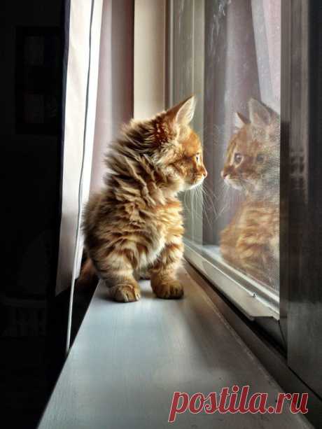 Watching the world go by...