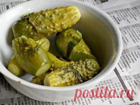 Малосольные огурцы быстрого приготовления - tochka.net