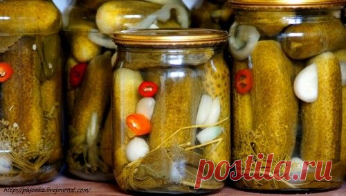 Маринованные огурцы – рецепты любимой закуски / Простые рецепты