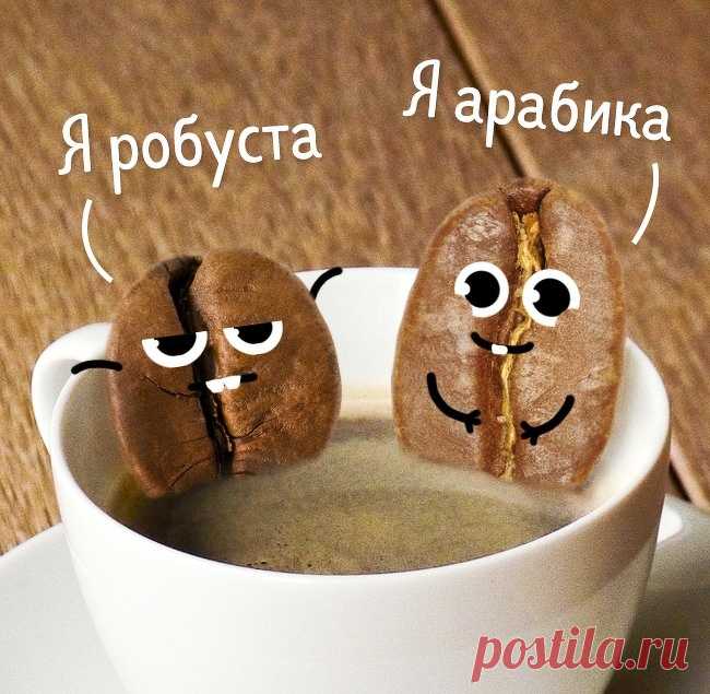 11 ошибок, из-за которых кофе не получается по-настоящему вкусным