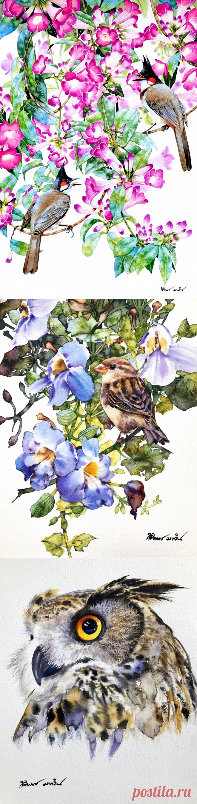 Райские птицы, как райский цветок... Художник - акварелист Kitipong Maksin (Bangkok-Thailand ).