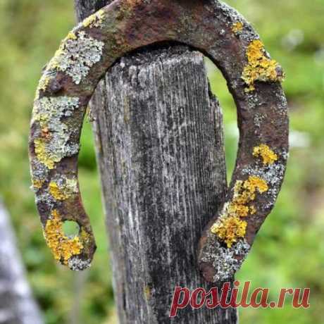 Подкова на удачу!