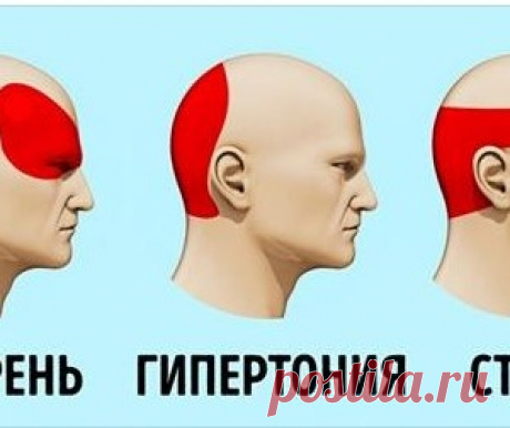 12 способов быть здоровым без врачей - МирТесен