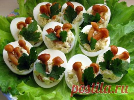 Фаршированные яйца. 25 вариантов начинки.
1. Обжарьте мелко порезанный лук и смешайте с желтком.
2. Твердый сыр с чесноком, майонезом и желтком.
3. Желток с мелко порезанными маслинами или оливками и майонезом.
4. Красная или черная икра. Уже без желтка.
5. Сыр на мелкой терке, грецкие орехи плюс майонез и чеснок. Украсить 
половинками грецкого ореха.
6. Тунец или сайра с маслинами.
7. Креветки с желтком. Сверху – по целой вареной креветке.
8. Желток, майонез, горчица, соленые огурцы – на терке