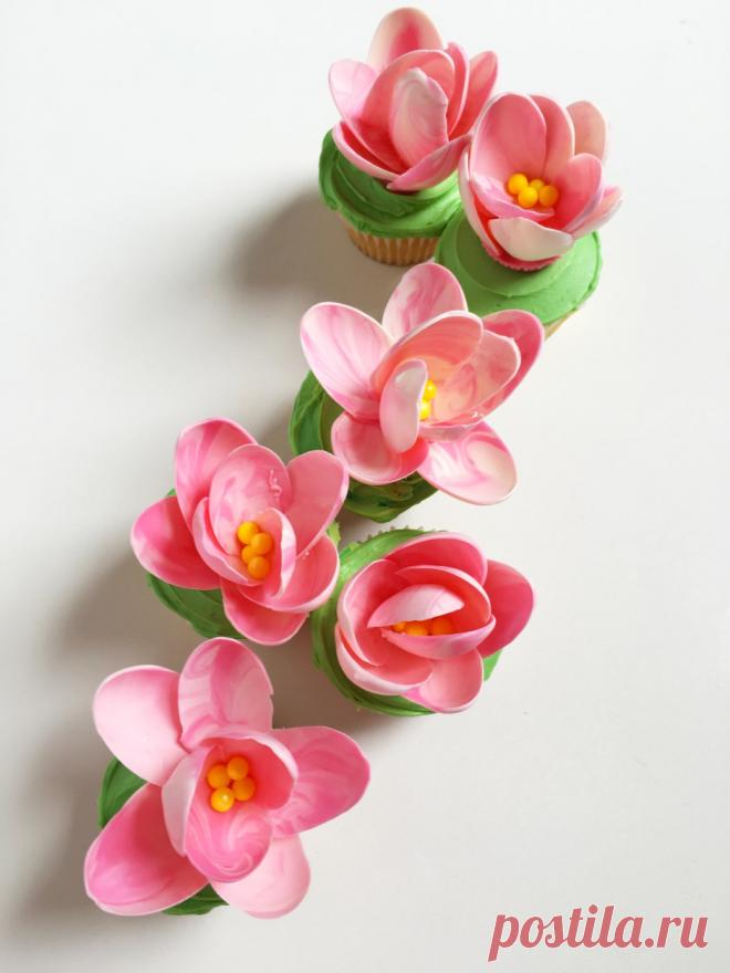 PINK ШОКОЛАД МАГНОЛИЯ ПИРОЖНЯ !!! - Привет Cupcake