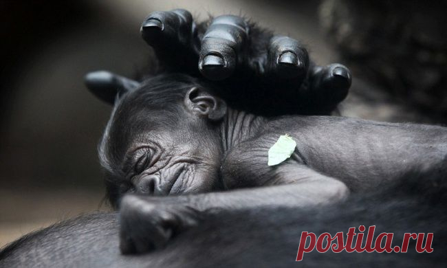 Фотографии на которые невозможно смотреть равнодушно