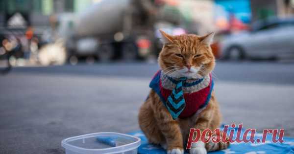 Хотите узнать почему у вас нет денег???? Эти 7 причин вашего безденежья - откроют вам глаза!!! Если вы относитесь к тем людям, которые никак не могут свести концы с концами, а о процветании и богатстве только лишь мечтаете, то эта статья для вас!!! Не задавали ли …