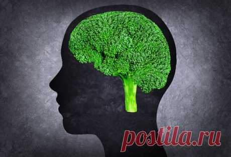 11 продуктов для улучшения памяти и работы мозга Ваш мозг удивителен. Будучи центром управления всего организма, именно он контролирует биение сердца, дыхание, любое ваше движение, мысль и ощущение. Именно поэтому важно сохранять его в максимально рабочем состоянии...