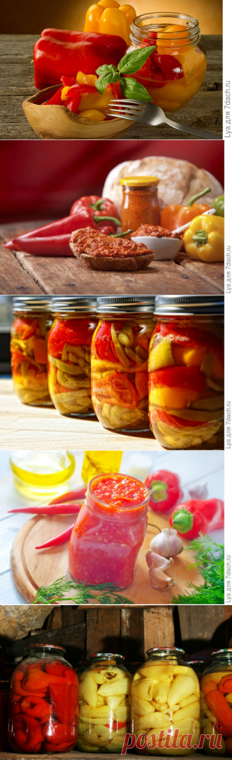 Перец: самые выгодные и вкусные заготовки на зиму