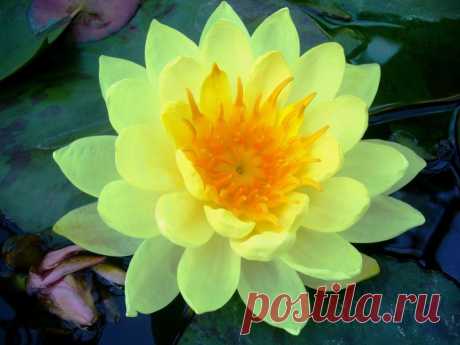 Редактировать описание