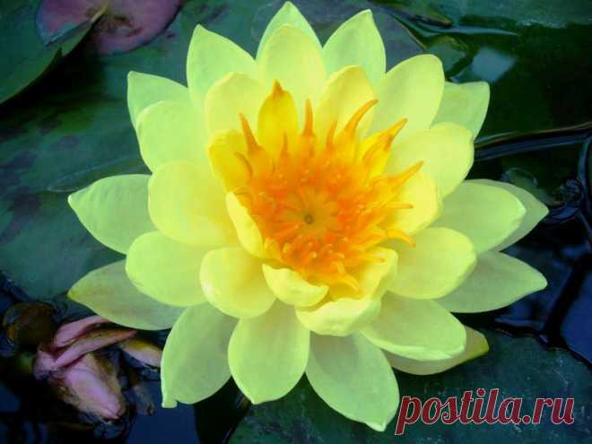 Редактировать описание