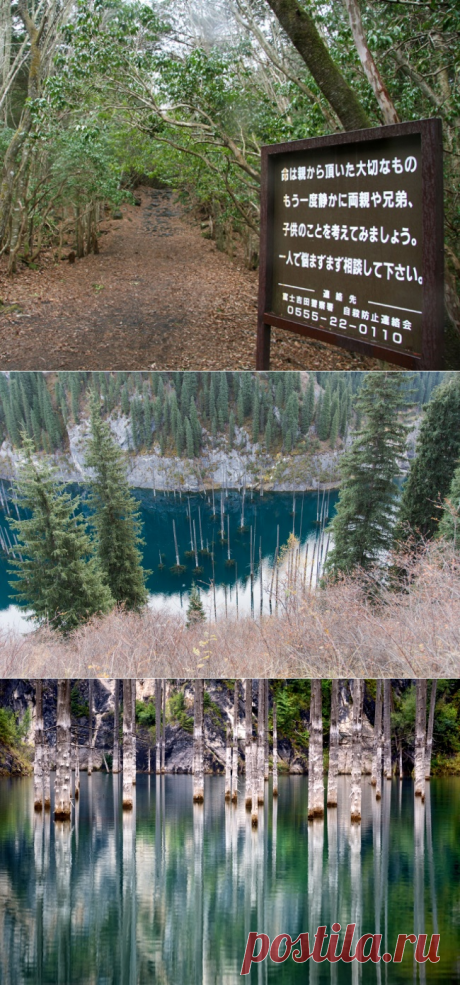 10 загадочных мест, происшествия в которых ученые до сих пор не могут толком объяснить