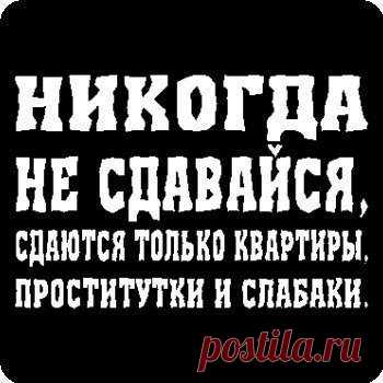 НИКОГДА НЕ СДАВАЙСЯ
