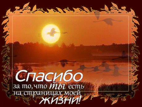 Благодарю судьбу за встречу с тобой ! ! !