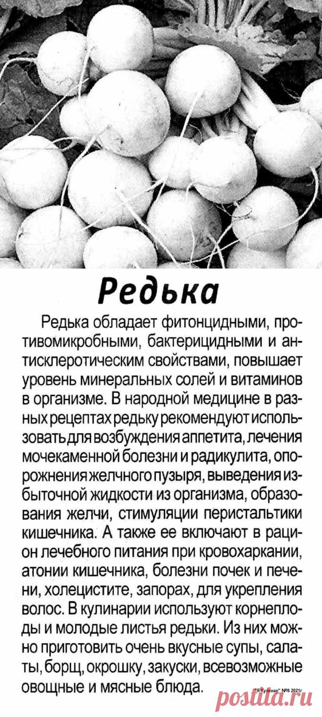 Редька - полезные свойства
