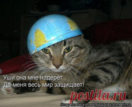 не важно, что половину вверх ногами...