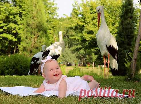 Фото Без названия. Альбом Фото группы - 9881 фото. Фотографии Ржунимагу - анекдоты, приколы.