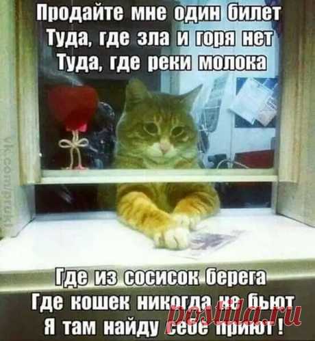(99+) Очередная свежая выжимка юмора из сети - Смехотерапия - 11 октября - 43542421696 - Медиаплатформа МирТесен