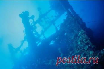 На дне Иссык-Куля найдены следы средневекового города На побережье крупнейшего в Кыргызстане высокогорного озера Иссык-Куль завершилась международная подводно-археологическая экспедиция. В ней принимали участие специалисты местных и зарубежных исследовательских институтов. Основной целью стало изучение затопленного комплекса Тору-Айгыр...