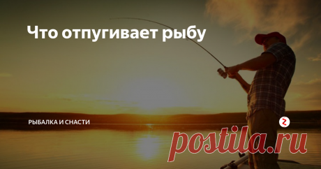 Что отпугивает рыбу Опытные рыболовы хорошо знают, насколько осторожными бывают рыбы в различное время года. Особенно это актуально для холодных месяцев, когда вода прозрачная, и малейший шорох отпугивает рыбу.
На рыбалке необходимо соблюдать тишину
Ихтиологии отмечают, что рыбы способны улавливать даже незначительные звуковые вибрации на берегу. В зависимости от глубины расположения рыб и от силы звука, различна их