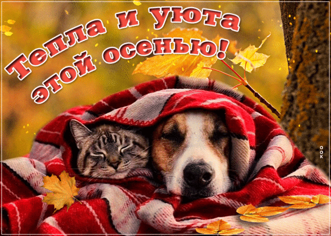 Тепла и уюта этой осенью!