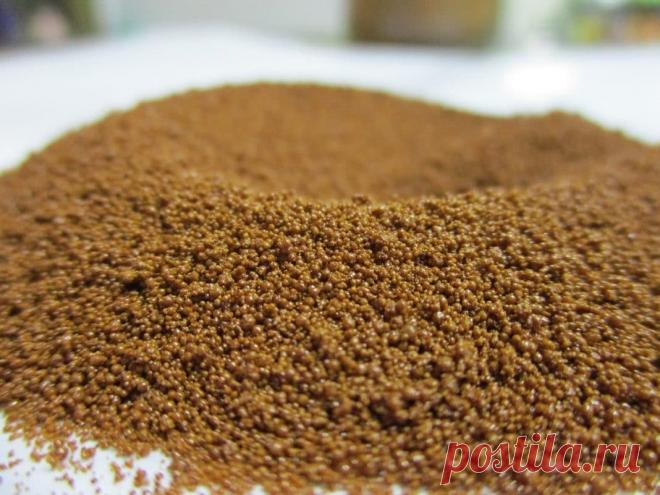 Цикорий и давление: как влияет, повышает или понижает?