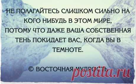 Не полагайтесь слишком сильно на кого нибудь в этом мире, потому что даже ваша собственная тень покидает вас, когда вы в темноте | Мир позитивных новостей