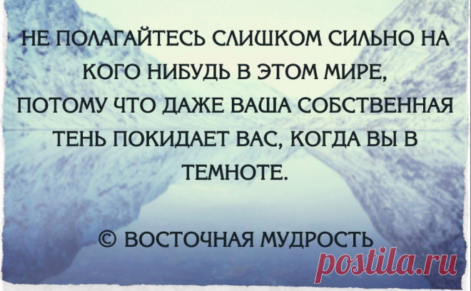 Не полагайтесь слишком сильно на кого нибудь в этом мире, потому что даже ваша собственная тень покидает вас, когда вы в темноте | Мир позитивных новостей