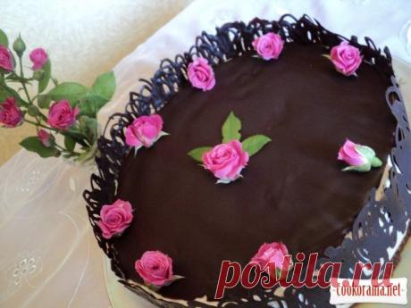 Кофейно-шоколадный торт «С добрым утром!» / Десерты / Кукорама — вкусные рецепты!