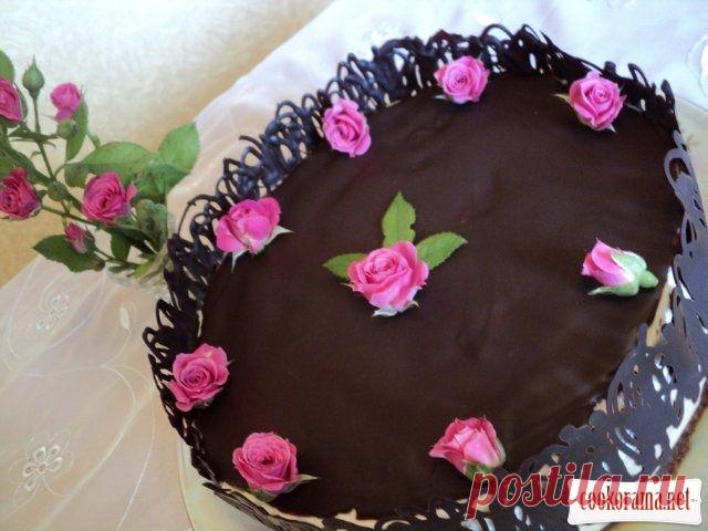 Кофейно-шоколадный торт «С добрым утром!» / Десерты / Кукорама — вкусные рецепты!