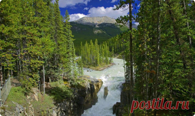 (71) Одноклассники