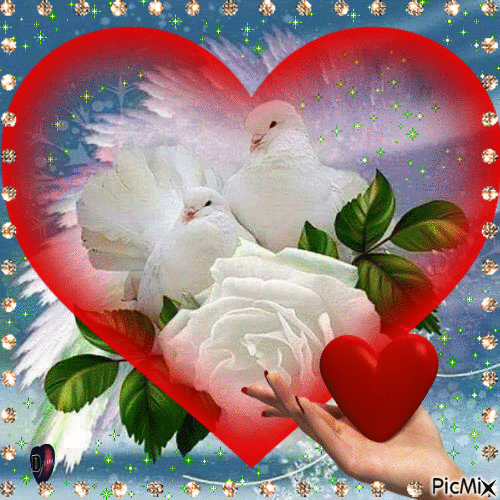 ♡ For you ♡