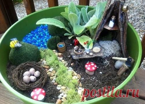 Создание мини-садов своими руками в горшках