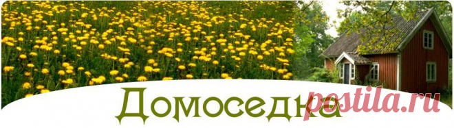 Как вырастить однолетники
