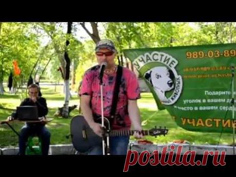 Новинка года - КУКУШКА - Валерий Палаускас