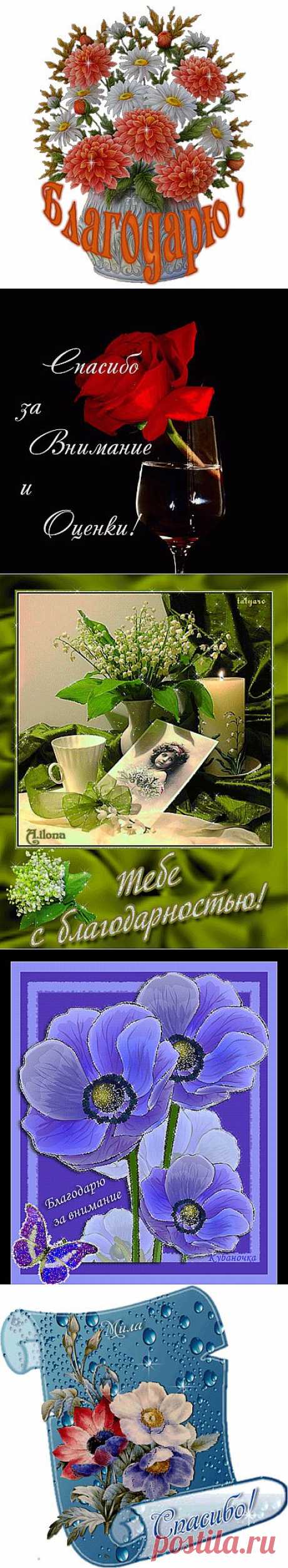 Яркие картинки благодарности + код для днева.