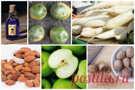 11 повседневных продуктов, которые могут быть ядовиты! / Будьте здоровы