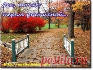 Что рассказать детям об осени? Стихи, загадки, развивающие задания для детей на осеннюю тематику:
http://nashydetky.com/razvitie-rebenka-2/osen-dlya-detey-chto-rasskazat-detyam-ob-oseni
#стихи_про_осень #стихи_про_осень_для_детей #загадки_про_осень #развивающие_занятия #осенние_приметы