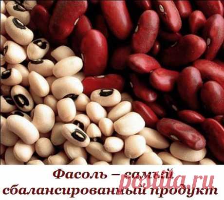 Фасоль – самый сбалансированный продукт