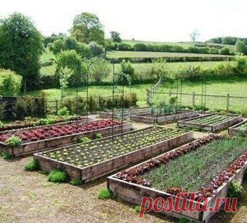 Как мамаша оставила грудничка на заднем сиденье, записки таксиста