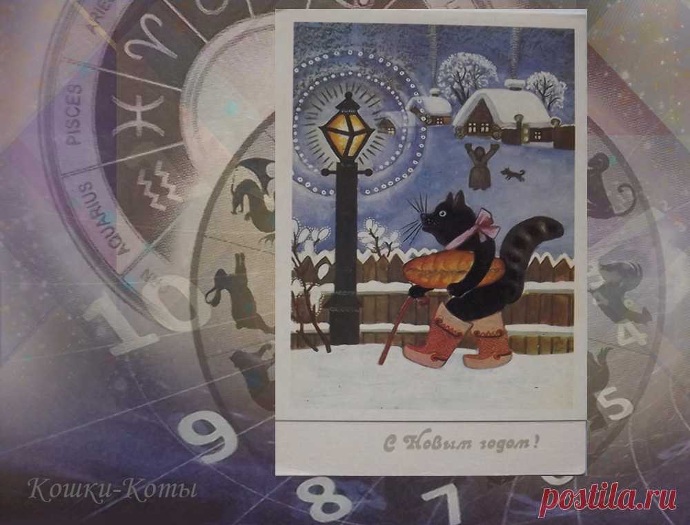 Котики и зайки, хозяева 2023 года, на советских новогодних открытках

✨ Автор: Нина Стрелкова. 

✧ Новый год Кота-Зайца-Кролика давно наступил. Даже по восточным календарям, где он наступает в первое новолуние Водолея. Но иногда людям не очень верится, что он пришел. Ведь годы Кота принято считать спокойными, благополучными. Все ждут от них счастья, богатства, комфорта и прочих благ. А тут такое, что у многих закрадываются подозрения, что когтистый и зубастый Тигр всё ещё тут...