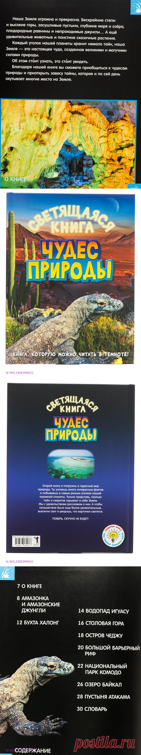 Светящаяся книга чудес природы Рипол-Классик 2027800 в интернет-магазине Wildberries.ru