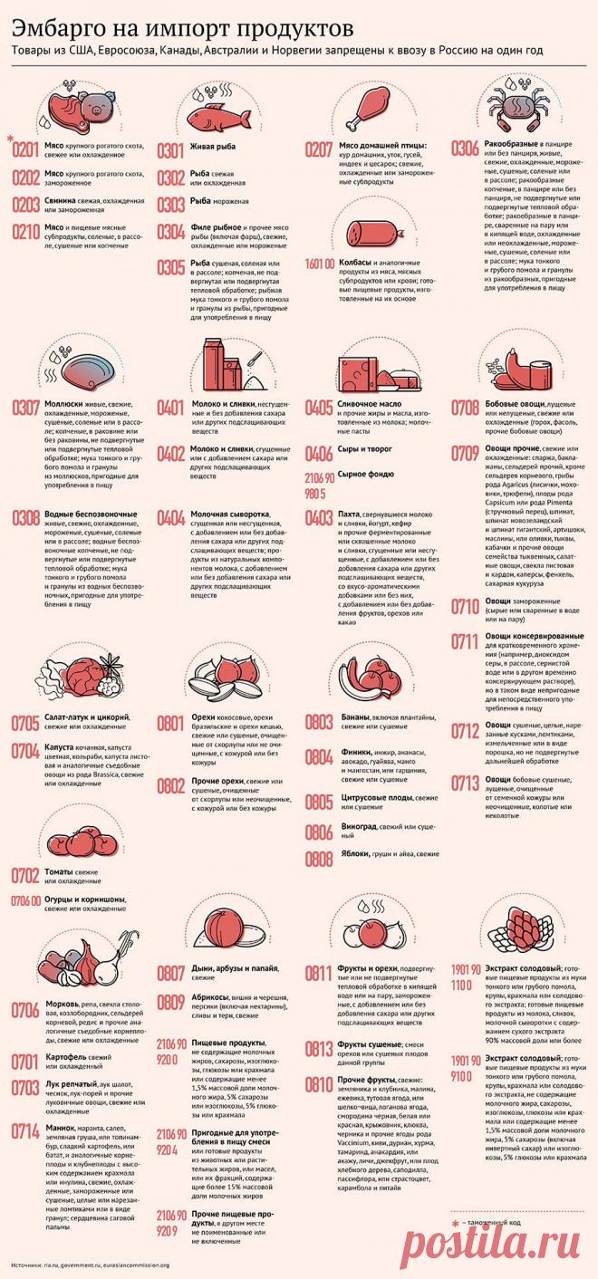 Кадыров одобрил запрет на импорт продуктов из Европы и США - Новости Политики - Новости Mail.Ru