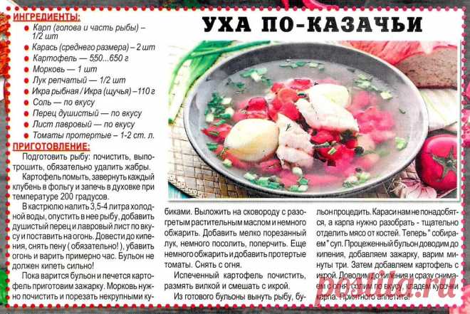 Уха по-казачьи