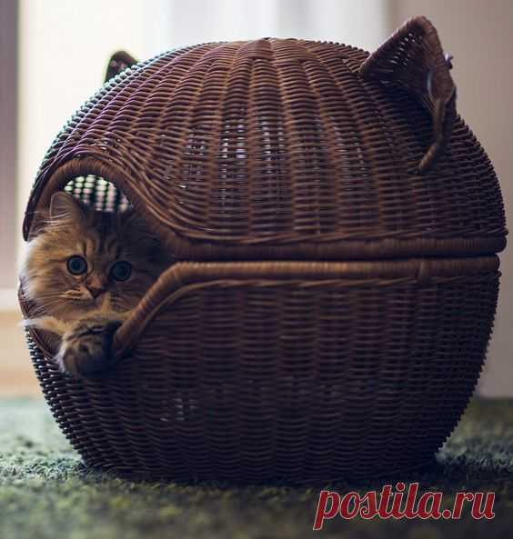 Уютный домик для питомца