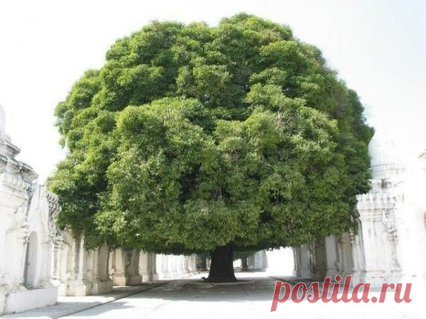 Фотографии на стене сообщества | 7 461 фотография | ВКонтакте